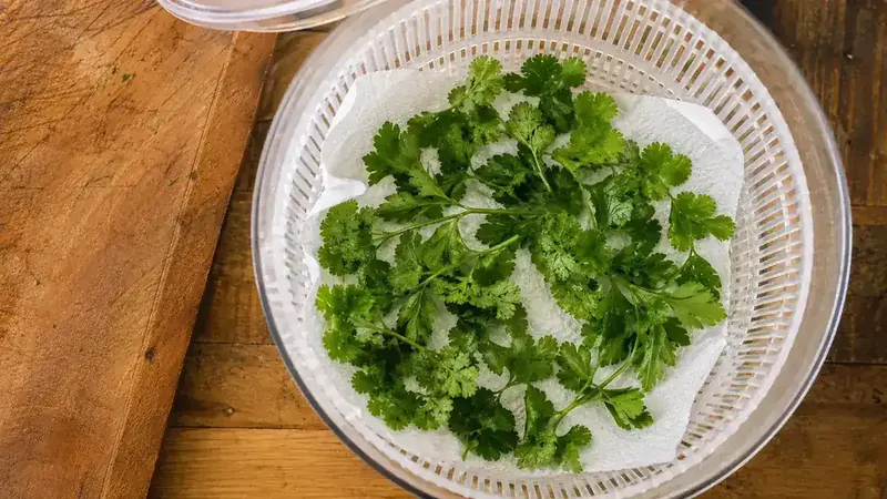 Fresh herbs including parsley and cilantro drying in a salad spinner bowl lined with a paper towel