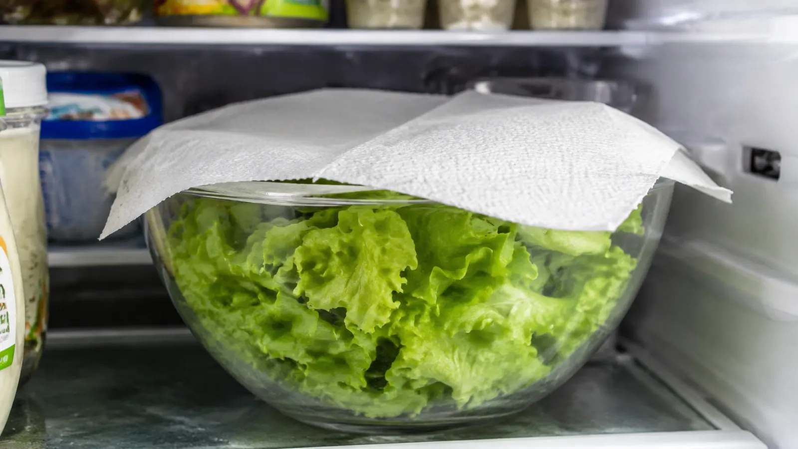 Glass fridge shelf showing a salad spinner bowl full of crisp green salad greens covered loosely with a paper towel